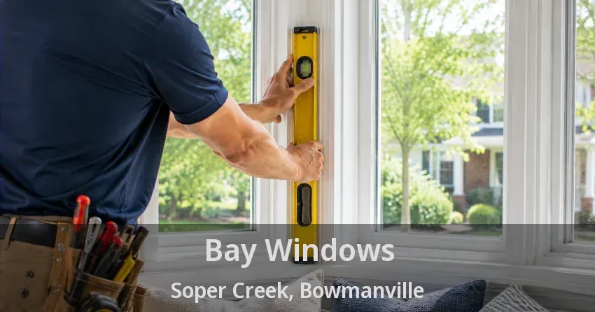 Bay Windows Soper Creek, Bowmanville - ON